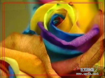 p_large_lNBX_477c0002d7ae2d12.jpg