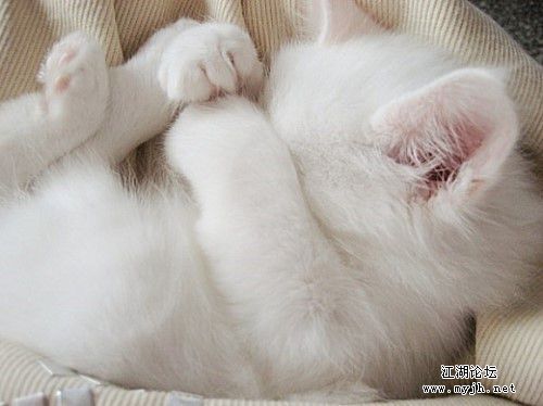 ▲没脸见人型.jpg