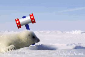 未命名.gif