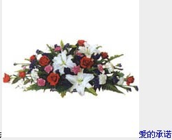 爱的承诺.jpg