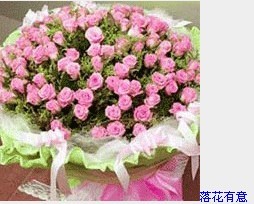 纷飞的梦-落花有意.jpg