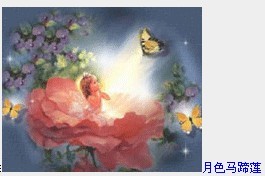 含情脉脉-月色马蹄莲.jpg