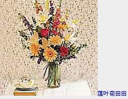 今生共相伴-莲叶荷田田.jpg