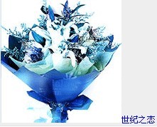 轻声问候-世纪之恋.jpg