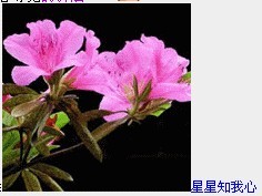 梦心无伊-星星知我心.jpg