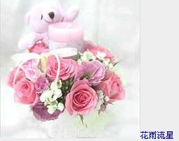 小樱樱-花雨流星.jpg
