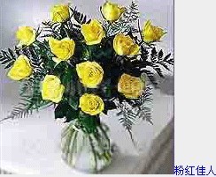 金粉佳人-红粉佳人.jpg