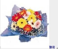 倾国倾城-雅荷.jpg