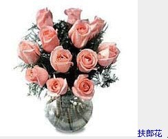 扶郎花.jpg