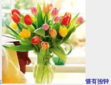 心有所属-情有独钟.jpg