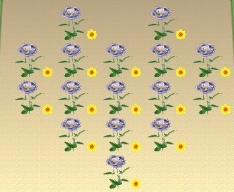 花场