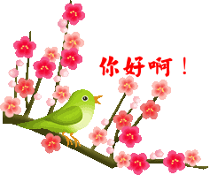 你好啊.gif