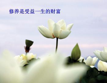 u=4036743468,760398819&amp;fm=23&amp;gp=0.jpg