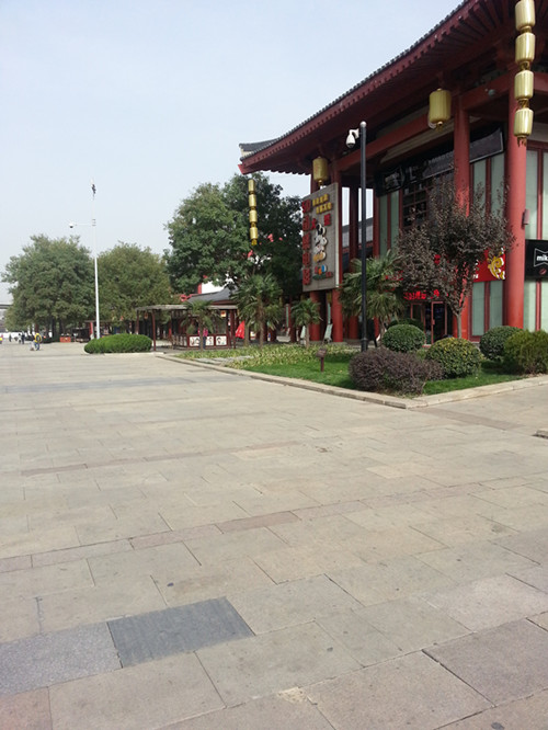 20131114_130151_副本.jpg