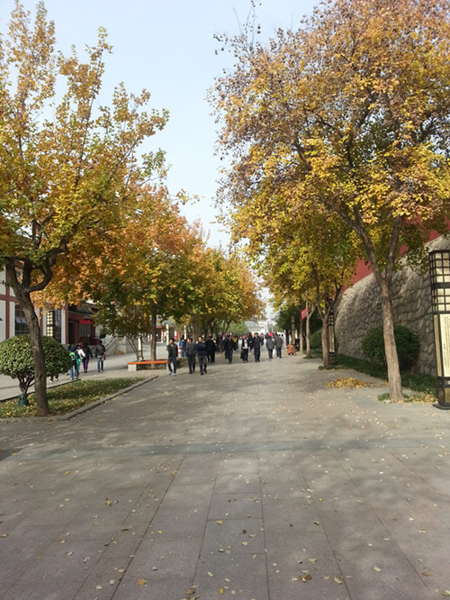20131114_133427_副本.jpg