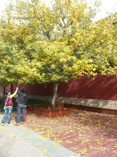 20131114_133032_副本.jpg