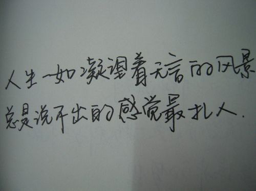 01113-7.jpg