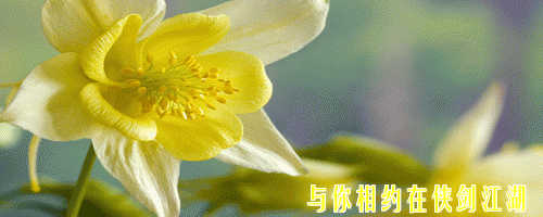 5354.gif