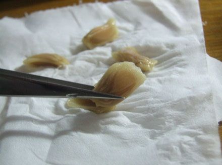 恩好了.jpg