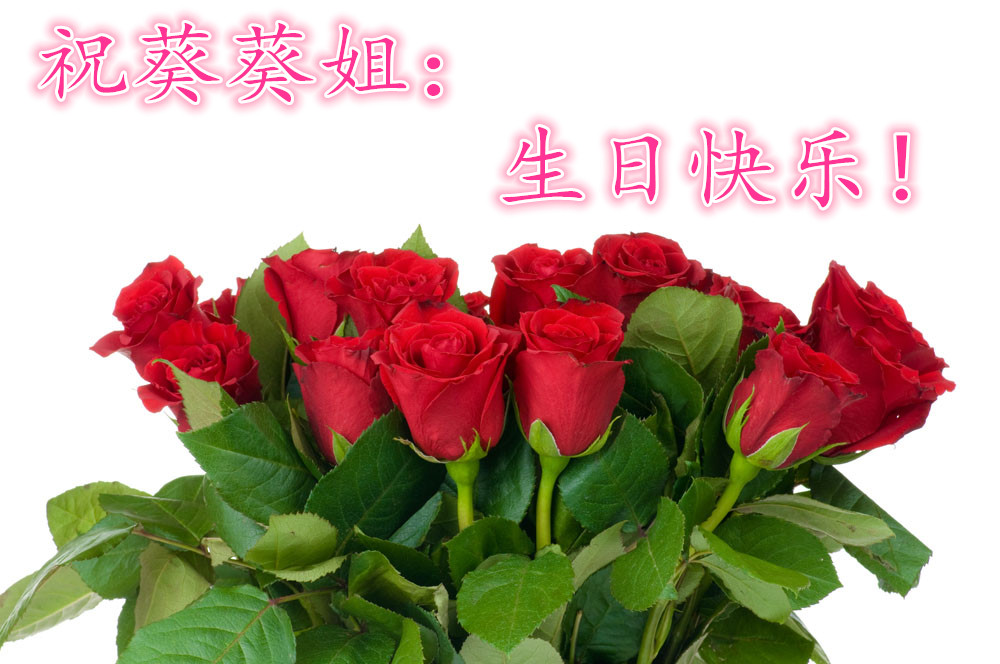 91-12022515505360_副本.jpg