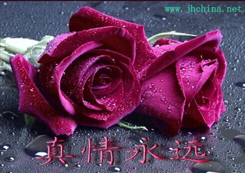 QQ图片20141024115112.jpg