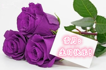 t015465492a3f7dca02_副本.jpg