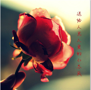 QQ图片20150214084658.png