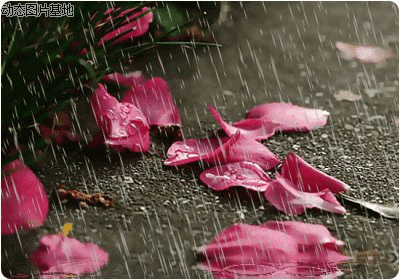 20149922192261966.gif