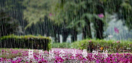 落雨成念.jpg