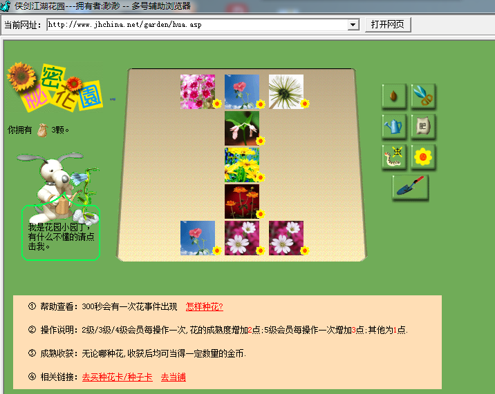 花5.png