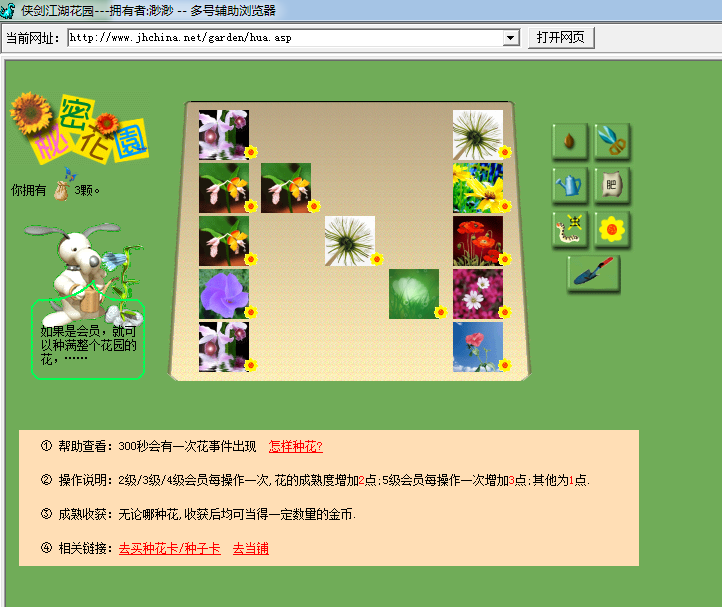 花6.png