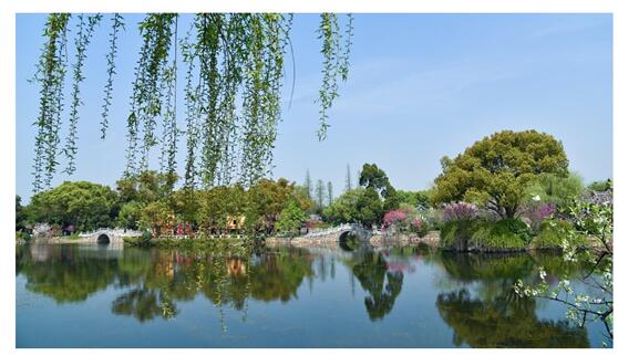 QQ图片20180404210737.jpg