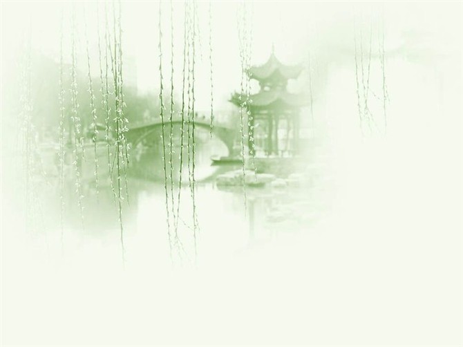 柳树新芽.jpg