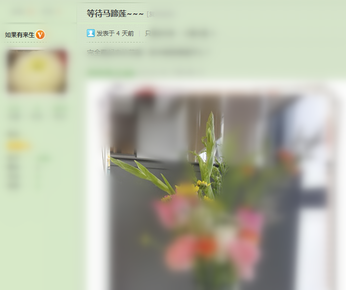我不是马蹄莲.png