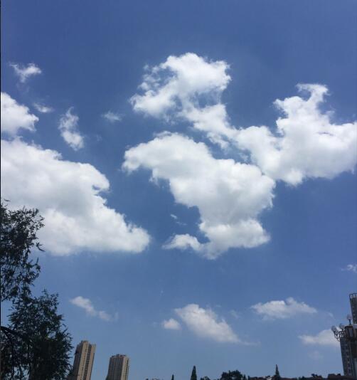QQ图片20180712130843.jpg