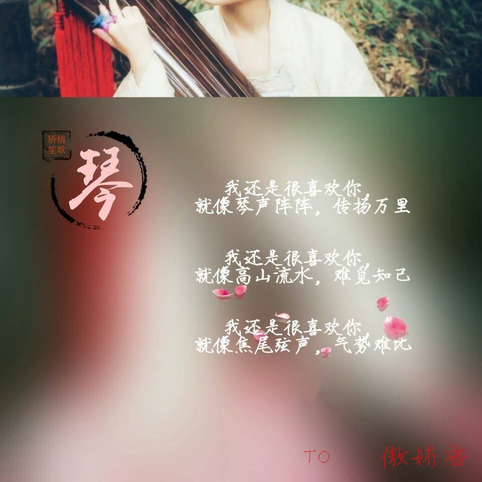 琴.jpg
