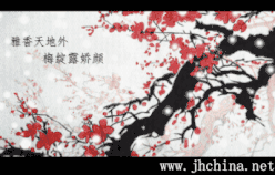 XW.gif