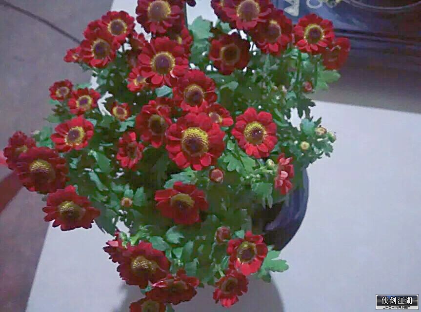 微信图片_20190301162313.jpg