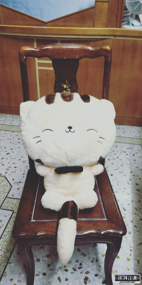小猫咪