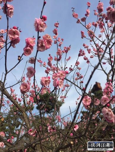QQ图片20190309130357.jpg