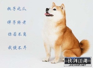 执子之爪.jpg