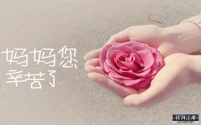 母亲节花.jpg
