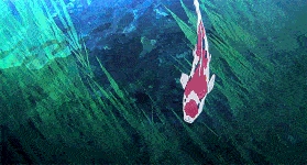 QQ图片20200327084132 (1).gif