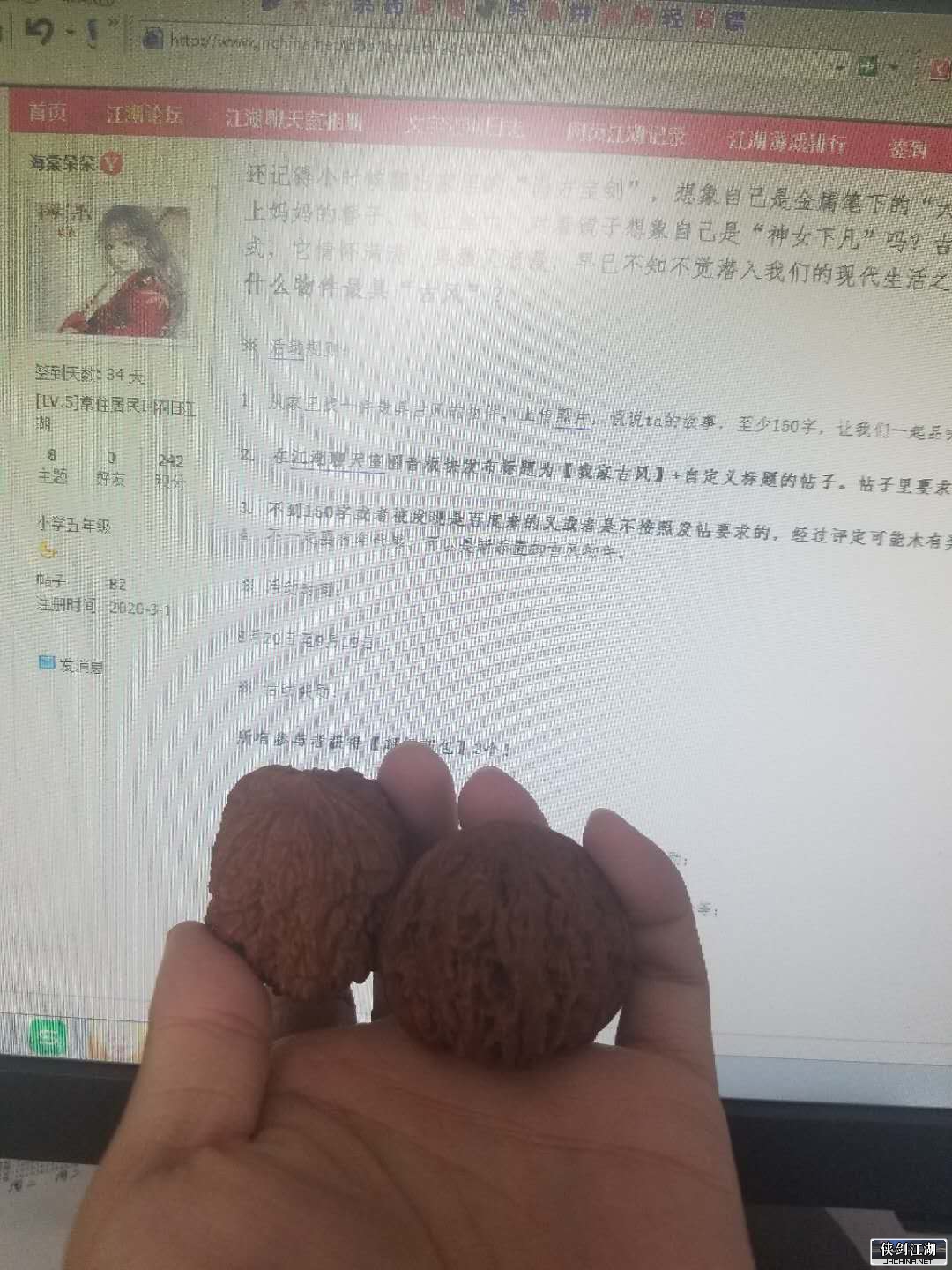 核桃