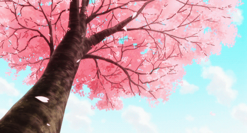 不如归去.gif