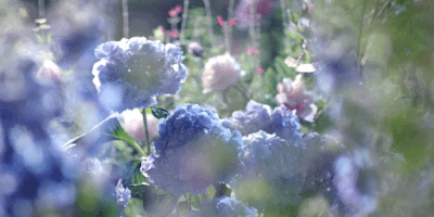 最幸福的时刻.gif