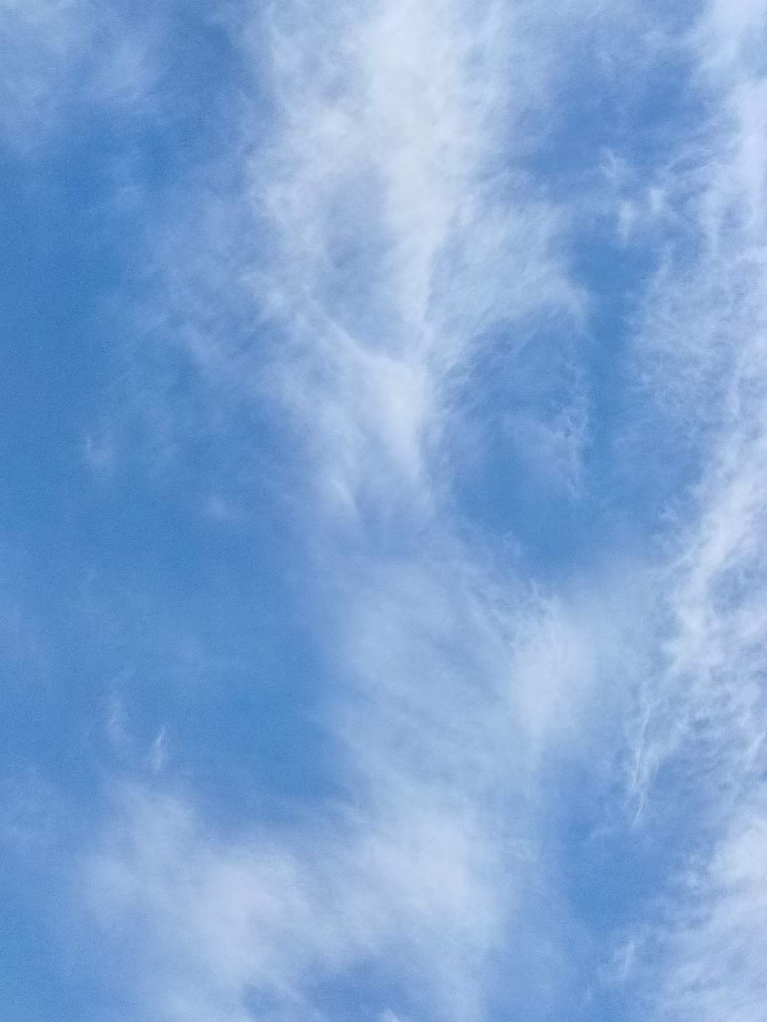 微信图片_20231106154506.jpg