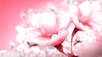 愿师父师公百年好合.gif