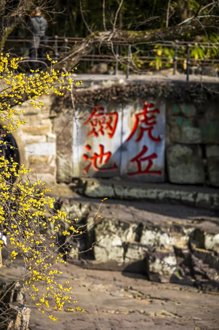 QQ图片20240207105614_副本.jpg