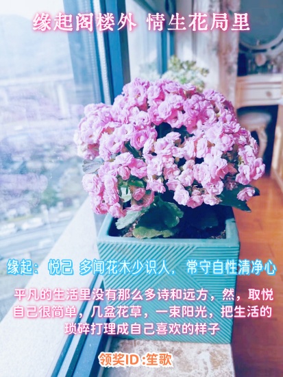 29cca27f13a556491c99a5345b40588c_副本.jpg